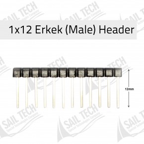 1x12 12MM Male Header
