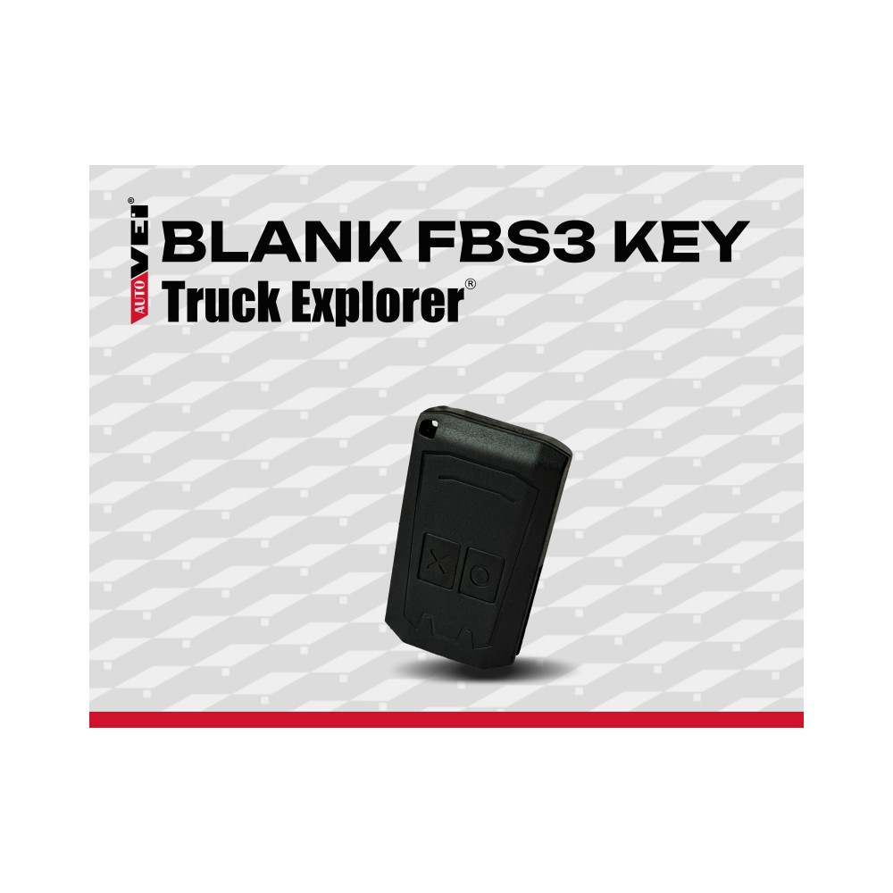 Autovei Blank FBS3 key